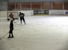 Eishockey_10