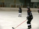 Eishockey_20
