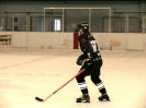 Eishockey_3