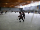 Eishockey_4