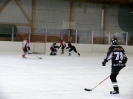 Eishockey_6