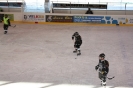 Eishockey_12