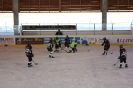 Eishockey_17