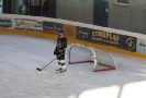 Eishockey_2