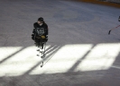 Eishockey_38